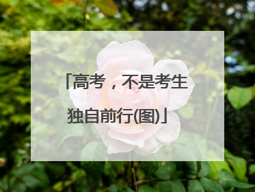 高考，不是考生独自前行(图)