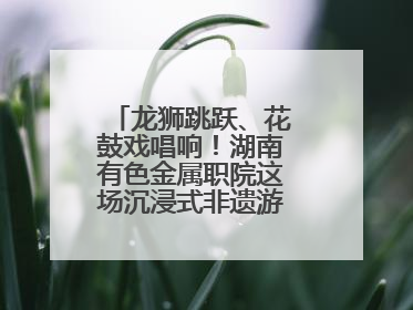 龙狮跳跃、花鼓戏唱响！湖南有色金属职院这场沉浸式非遗游园活动很带感