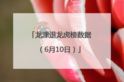 龙津退龙虎榜数据（6月10日）