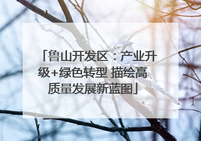 鲁山开发区：产业升级+绿色转型 描绘高质量发展新蓝图