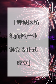 鲤城区纺织面料产业链党委正式成立