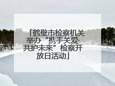 鹤壁市检察机关举办“携手关爱·共护未来”检察开放日活动