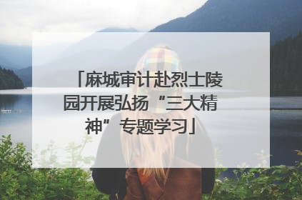 麻城审计赴烈士陵园开展弘扬“三大精神”专题学习