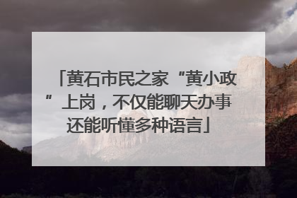 黄石市民之家“黄小政”上岗，不仅能聊天办事还能听懂多种语言