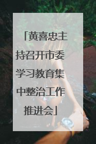 黄喜忠主持召开市委学习教育集中整治工作推进会