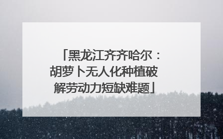 黑龙江齐齐哈尔：胡萝卜无人化种植破解劳动力短缺难题
