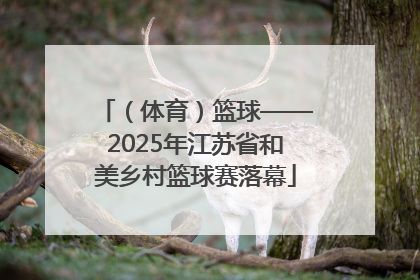 （体育）篮球——2025年江苏省和美乡村篮球赛落幕