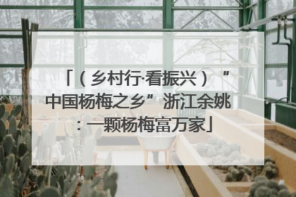 （乡村行·看振兴）“中国杨梅之乡”浙江余姚：一颗杨梅富万家