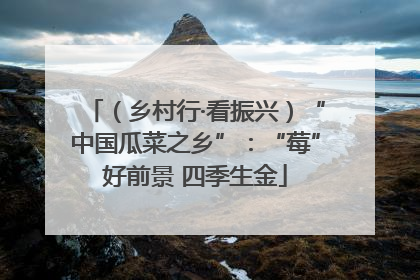 （乡村行·看振兴）“中国瓜菜之乡”：“莓”好前景 四季生金