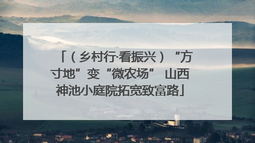 （乡村行·看振兴）“方寸地”变“微农场” 山西神池小庭院拓宽致富路