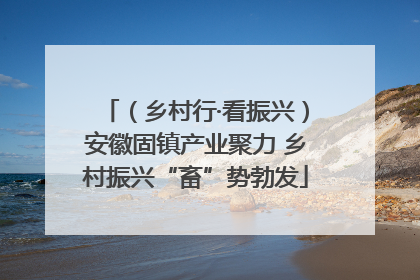 （乡村行·看振兴）安徽固镇产业聚力 乡村振兴“畜”势勃发