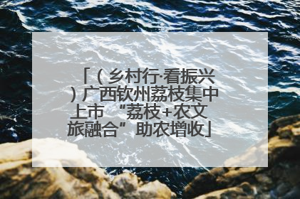 （乡村行·看振兴）广西钦州荔枝集中上市 “荔枝+农文旅融合”助农增收