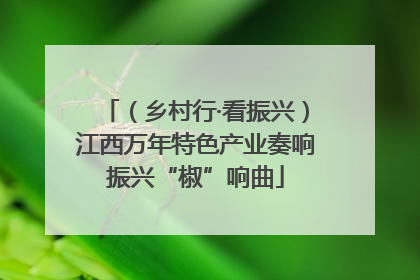 （乡村行·看振兴）江西万年特色产业奏响振兴“椒”响曲
