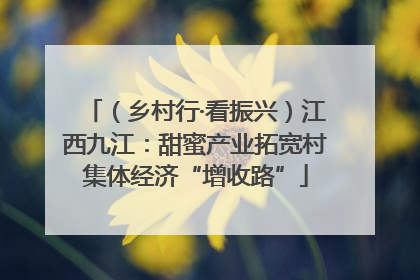 （乡村行·看振兴）江西九江：甜蜜产业拓宽村集体经济“增收路”