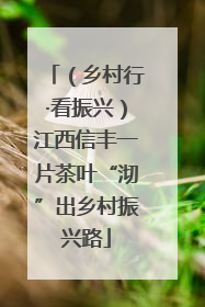 （乡村行·看振兴）江西信丰一片茶叶“沏”出乡村振兴路