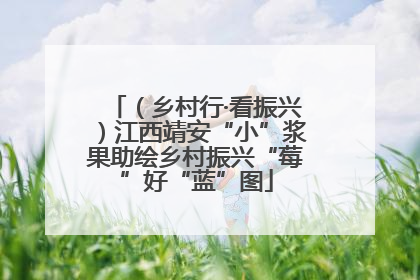 （乡村行·看振兴）江西靖安“小”浆果助绘乡村振兴“莓”好“蓝”图