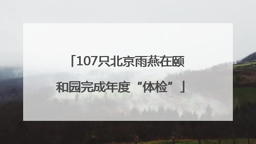107只北京雨燕在颐和园完成年度“体检”