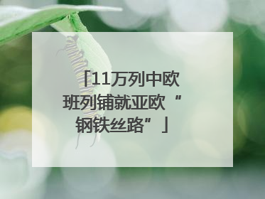 11万列中欧班列铺就亚欧“钢铁丝路”