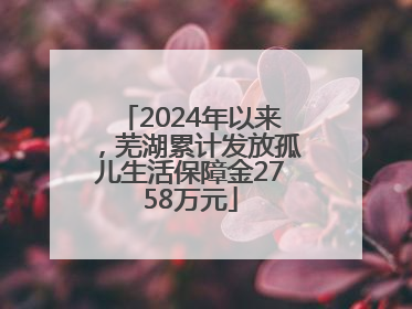 2024年以来，芜湖累计发放孤儿生活保障金2758万元