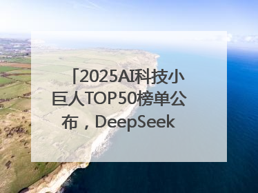 2025AI科技小巨人TOP50榜单公布，DeepSeek、宇树科技、蘑菇车联等企业荣誉上榜