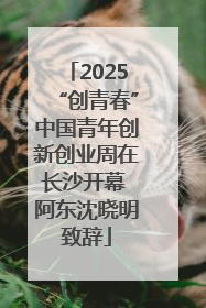 2025“创青春”中国青年创新创业周在长沙开幕 阿东沈晓明致辞