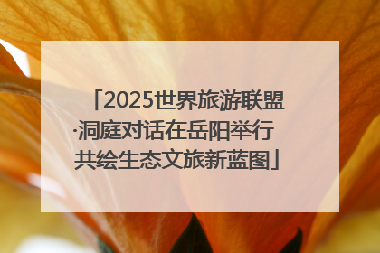 2025世界旅游联盟·洞庭对话在岳阳举行 共绘生态文旅新蓝图