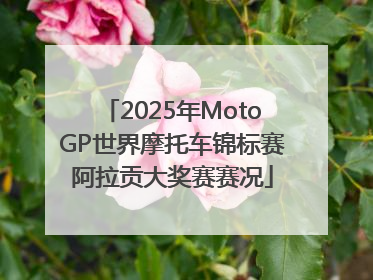 2025年MotoGP世界摩托车锦标赛阿拉贡大奖赛赛况