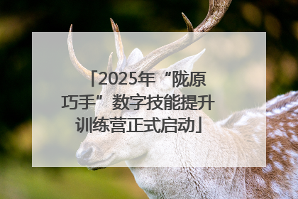 2025年“陇原巧手”数字技能提升训练营正式启动