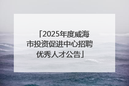 2025年度威海市投资促进中心招聘优秀人才公告