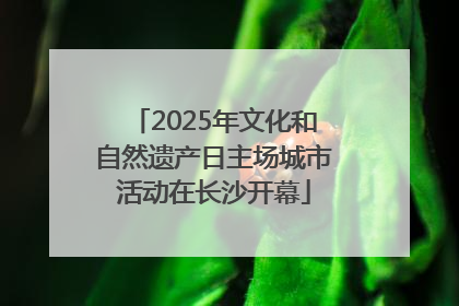 2025年文化和自然遗产日主场城市活动在长沙开幕