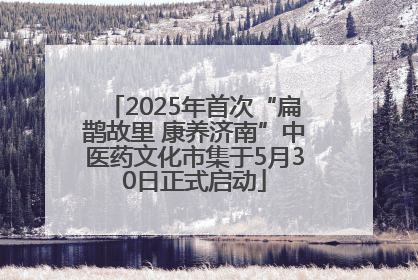 2025年首次“扁鹊故里 康养济南”中医药文化市集于5月30日正式启动