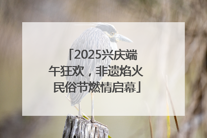 2025兴庆端午狂欢，非遗焰火民俗节燃情启幕