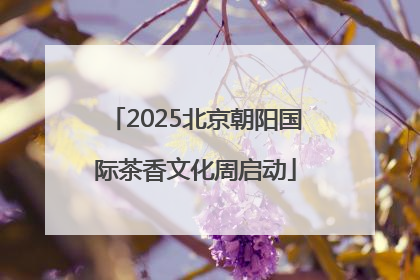 2025北京朝阳国际茶香文化周启动