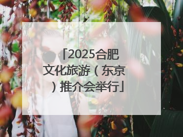 2025合肥文化旅游（东京）推介会举行