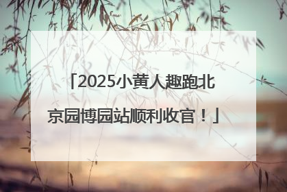 2025小黄人趣跑北京园博园站顺利收官！