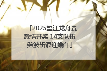 2025望江龙舟赛激情开桨 14支队伍劈波斩浪迎端午