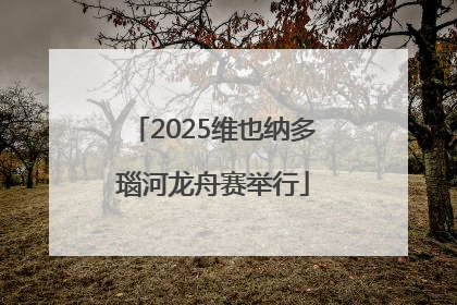 2025维也纳多瑙河龙舟赛举行