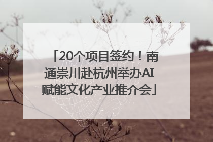 20个项目签约！南通崇川赴杭州举办AI赋能文化产业推介会
