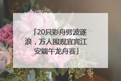 20只彩舟劈波逐浪，万人围观宜宾江安端午龙舟赛