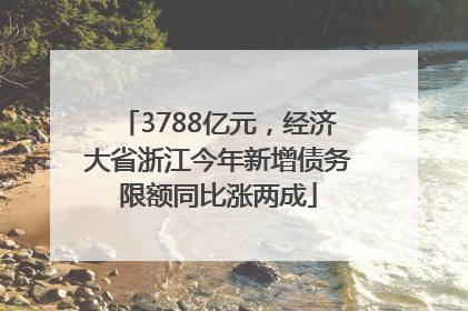 3788亿元，经济大省浙江今年新增债务限额同比涨两成