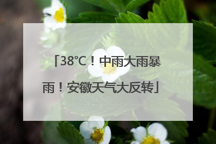 38℃！中雨大雨暴雨！安徽天气大反转