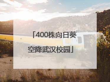 400株向日葵空降武汉校园