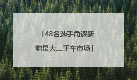 48名选手角逐新疆最大二手车市场