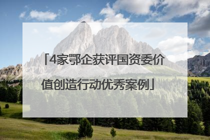 4家鄂企获评国资委价值创造行动优秀案例