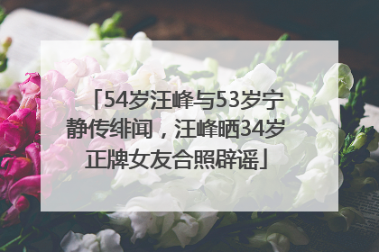 54岁汪峰与53岁宁静传绯闻，汪峰晒34岁正牌女友合照辟谣