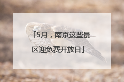 5月，南京这些景区迎免费开放日