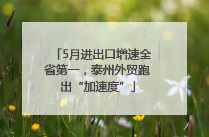 5月进出口增速全省第一，泰州外贸跑出“加速度”