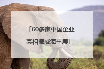 60多家中国企业亮相挪威海事展
