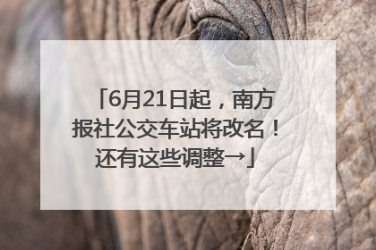 6月21日起，南方报社公交车站将改名！还有这些调整→