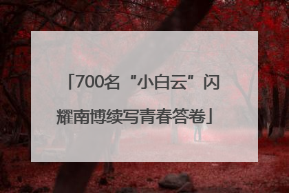700名“小白云”闪耀南博续写青春答卷
